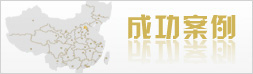 成功案例